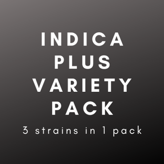 * Indica Plus Variety Pack