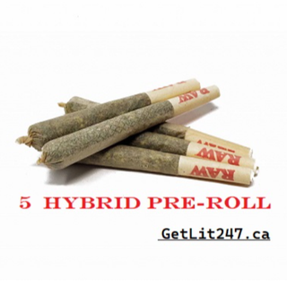 5 Hybrid Pre-roll - Special Size - THC 26% - CBD 1% - 35$/bag/5 pre-roll