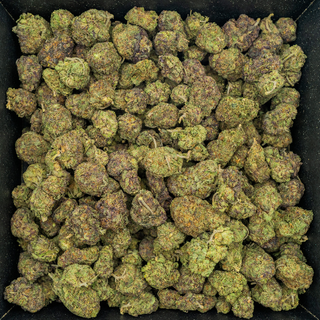 ELEVEN ROSES $165 QP / $330 HP / $550 P