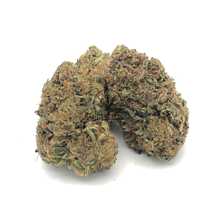 Hybrid   HOLY GRAIL