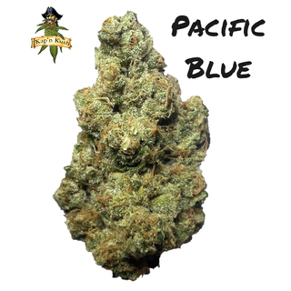 Pacific Blue | AAA+ | 28% THC | BOGO $170