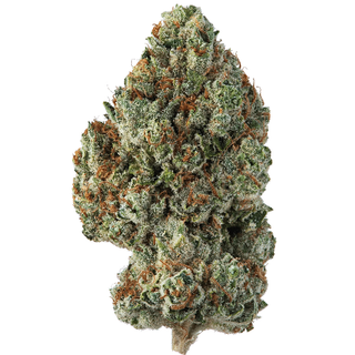Black Panther (AAA+) 30%THC - 50%OFF = $115 OZ