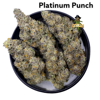 ** Platinum Punch | AAAA| 30%THC | BUY 1 GET 1 $170