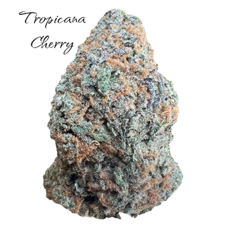 Tropicana Cherry | 30%THC| BUY 1 GET 1 FREE $195 +7g gift