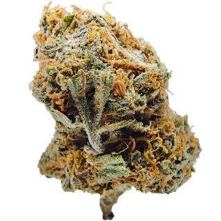  BC (AAAA) EMPEROR COOKIES (SALE)
