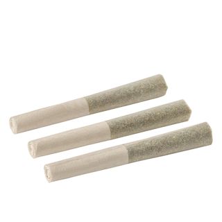 Back Forty - Strawberry Cough Infused Pre-Roll - 3x0.5g Sativa