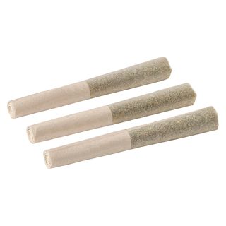 Back Forty - Watermelon Ice Infused Pre-Roll - 3x0.5g Indica
