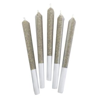 BC Black Crowfoot Cannabis Blueberry Frost Pre-Roll - 5 x .5g