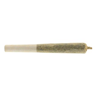 Afghan Gold Hash Infused Pre-Roll - 1 x .5g