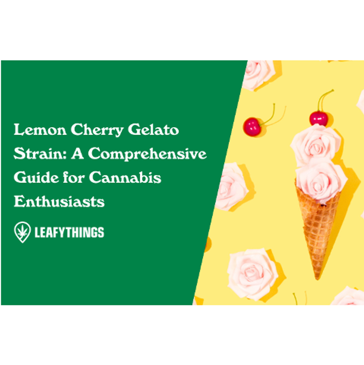 Lemon Cherry Gelato Strain: A Comprehensive Guide for Cannabis Enthusiasts