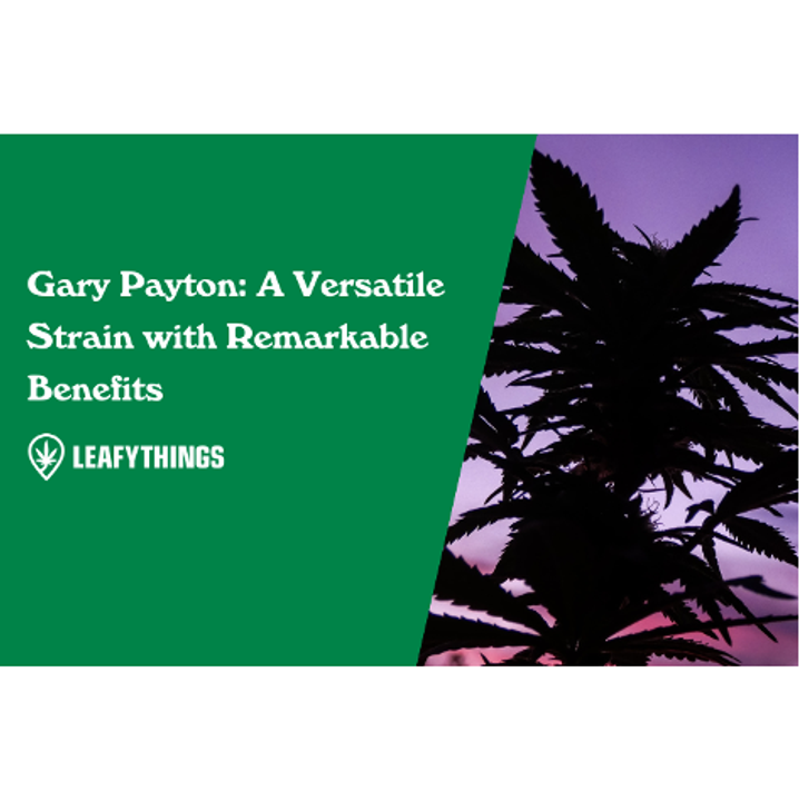Gary Payton: A Versatile Strain with Remarkable Benefits