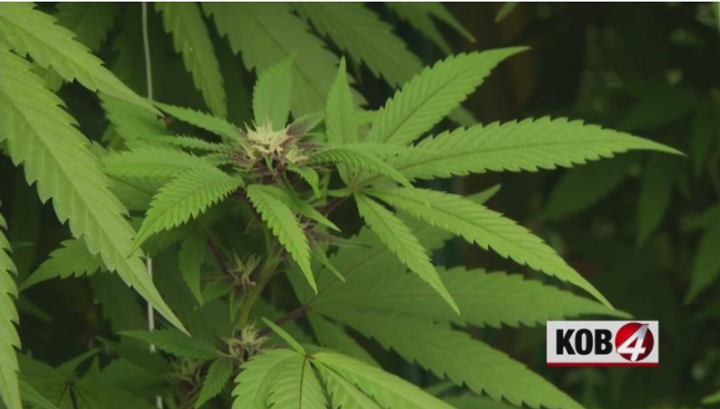 Recreational marijuana bill clears legislature, heads to governor’s desk