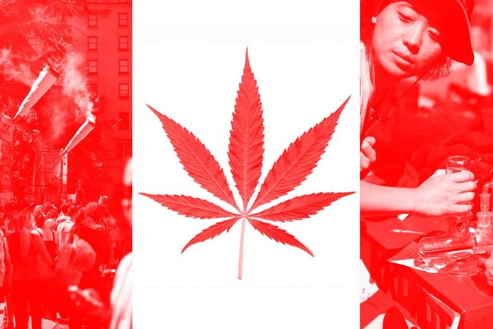 Where Can I Get Free Weed in Canada?