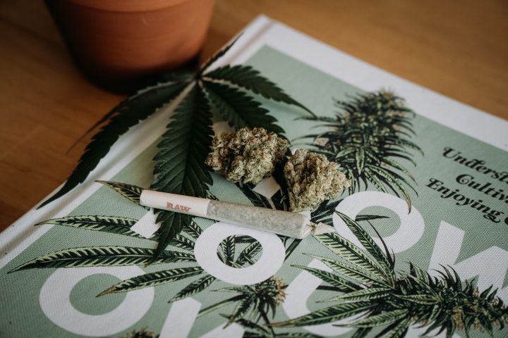 How Much is an Ounce of Weed? | Weed Measurements & Costs in Ontario