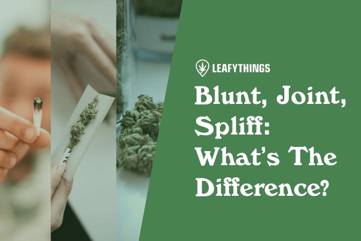 Blunt, Joint, Spliff: What’s The Difference?