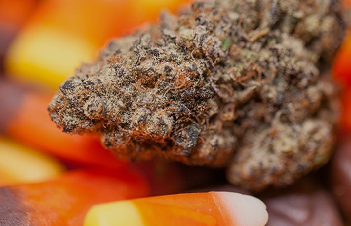 Top 10 Halloween Strains of All Time