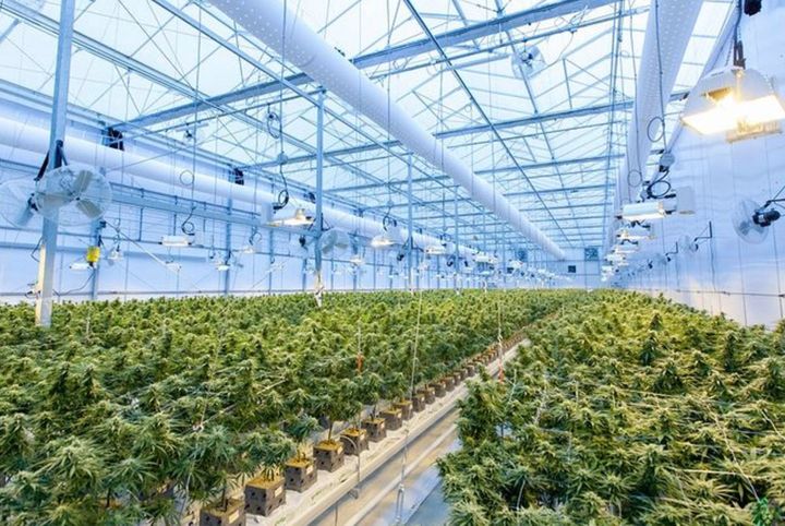 Highlife Cannabis Co. successfully open its second location in North York