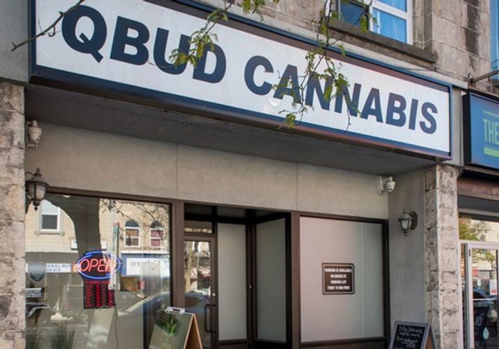 Interview With QBud Cannabis Guelph Store | Leafythings