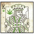 bizLogo