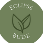 bizLogo