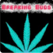 bizLogo