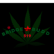 bizLogo