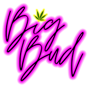bizLogo
