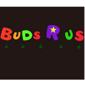 bizLogo