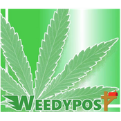 bizLogo