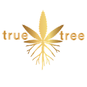 bizLogo