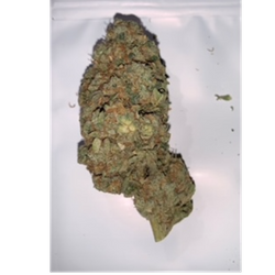 The STRAIN STRAIN COOKIES PRODPROC LEGENDS TYPE INDICA-DOMINANT HYBRID  Cookies by Legends Grown by Northwest Cannabis Solutions Is a Cross Between  Durban F1 and South Florida OG *Like* if You'd Smoke This