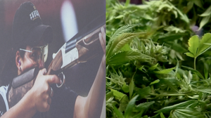 Guns or marijuana? You'll need to pick one