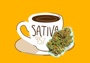 Chocolope Strain Information