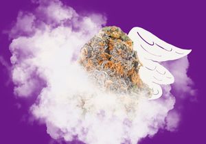 God's Gift Strain Information