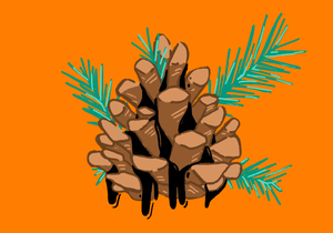 Pine Tar Strain Information