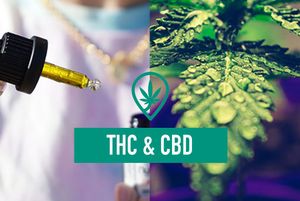 Benefits of CBD and THC together