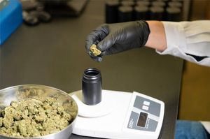 The Best Dispensaries in Vancouver