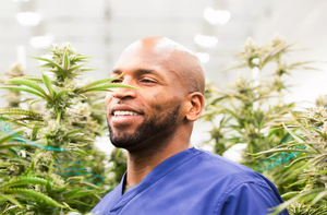 Athletes who have used Cannabis to Boost Their Performance