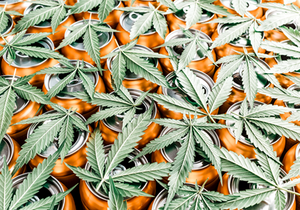 Cannabis Infused Beverages: A hit or miss for Canada?