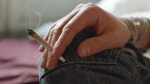 Where to buy weed in Toronto