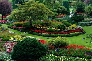 Here’s Why Queen Elizabeth Park in Vancouver is the Best
