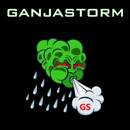 business-logo