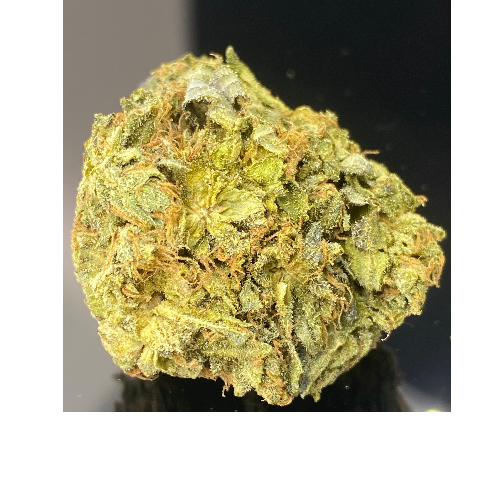 Speedy Weedy North Keweenaw Bay Indian Community