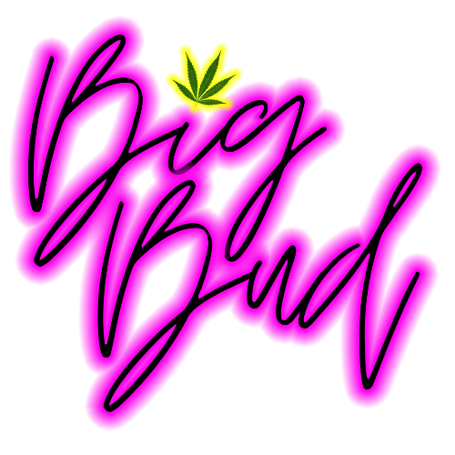 business-logo