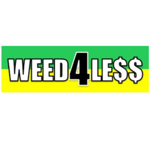 business-logo