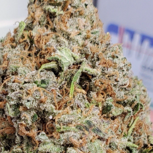 Top Shelf Bud YYC Cookies Gelatti Leafythings