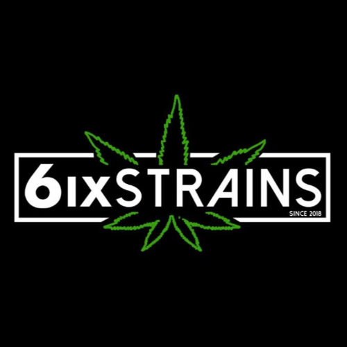 business-logo