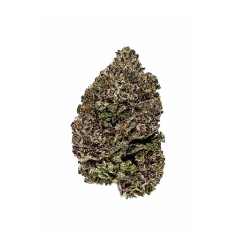 $100/oz SALE!