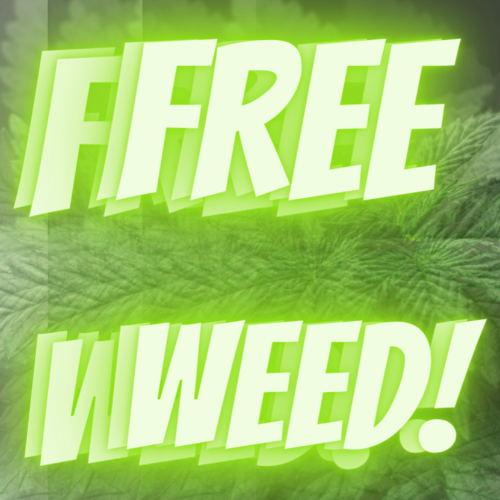 ???FREE IN THE CLOUDS DEAL ON NOW ???