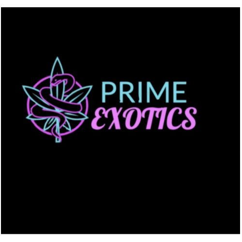 business-logo